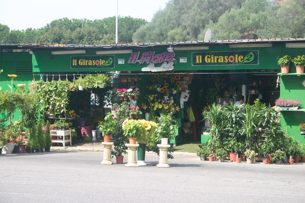 Vittoria Guest House روما المظهر الخارجي الصورة